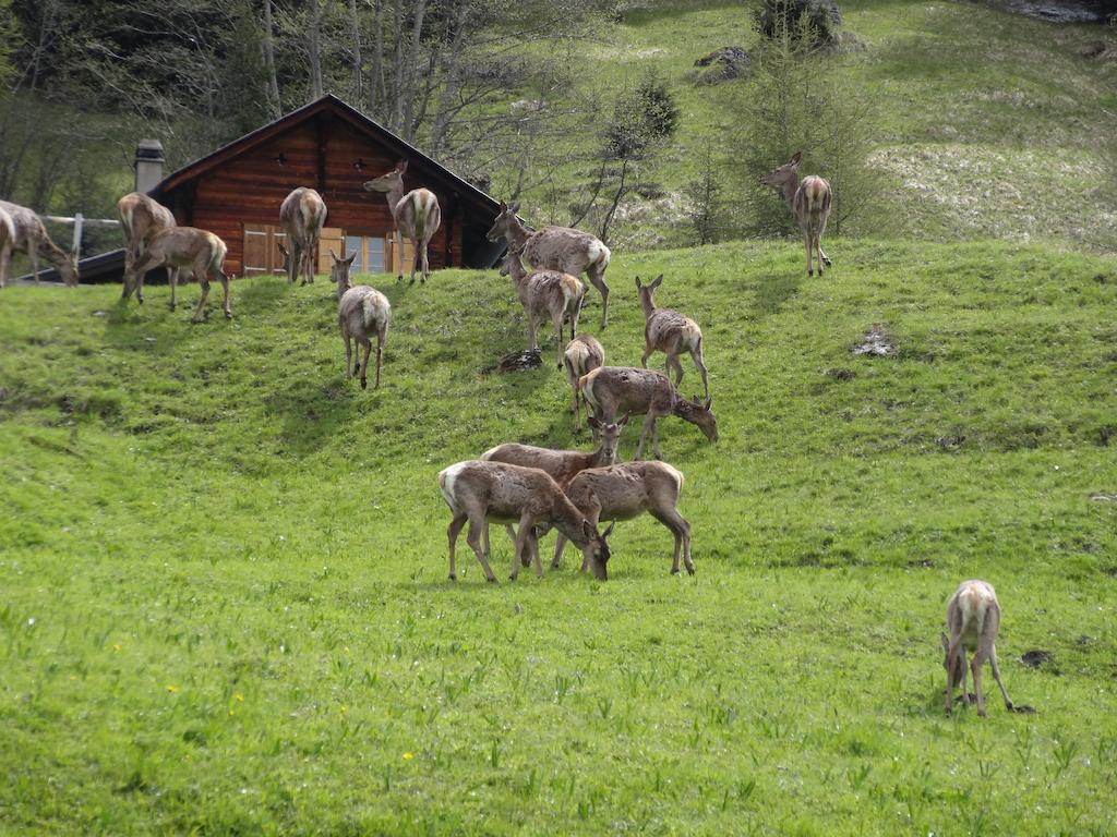 Chalet Edelweiss Hérémence Szoba fotó